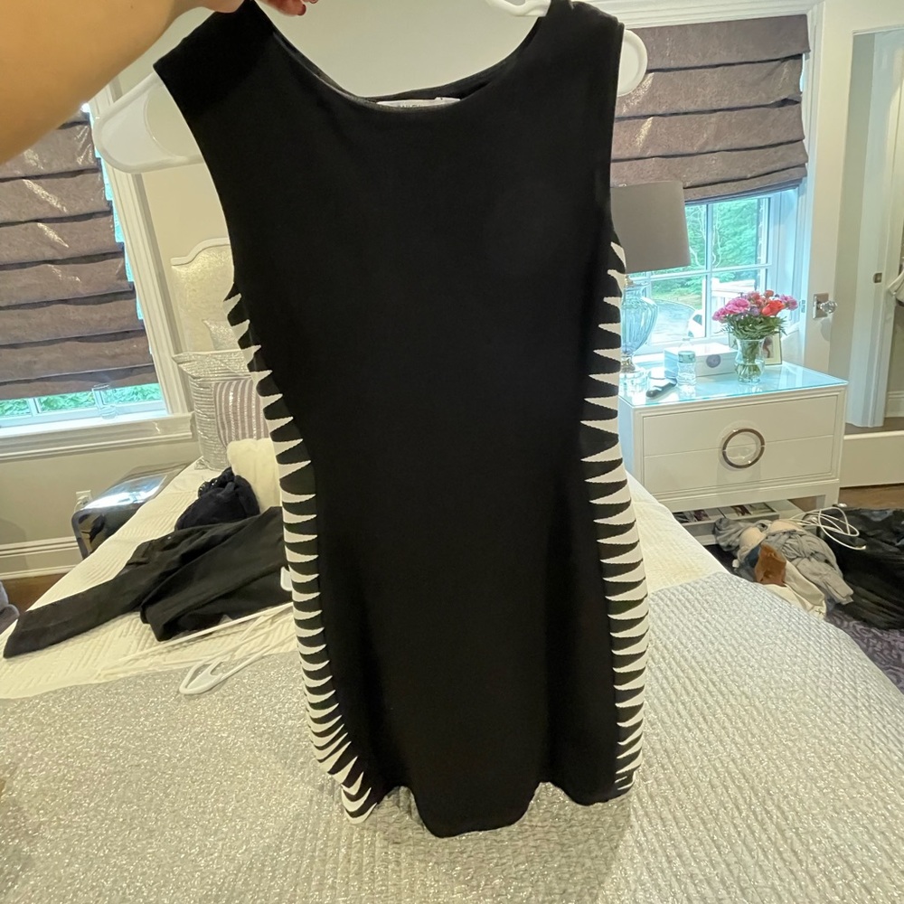 Bailey mini dress. Size XS